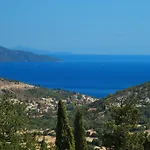 Avvisania *